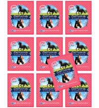 Ostwind Das große Finale Sticker - 10 Tüten